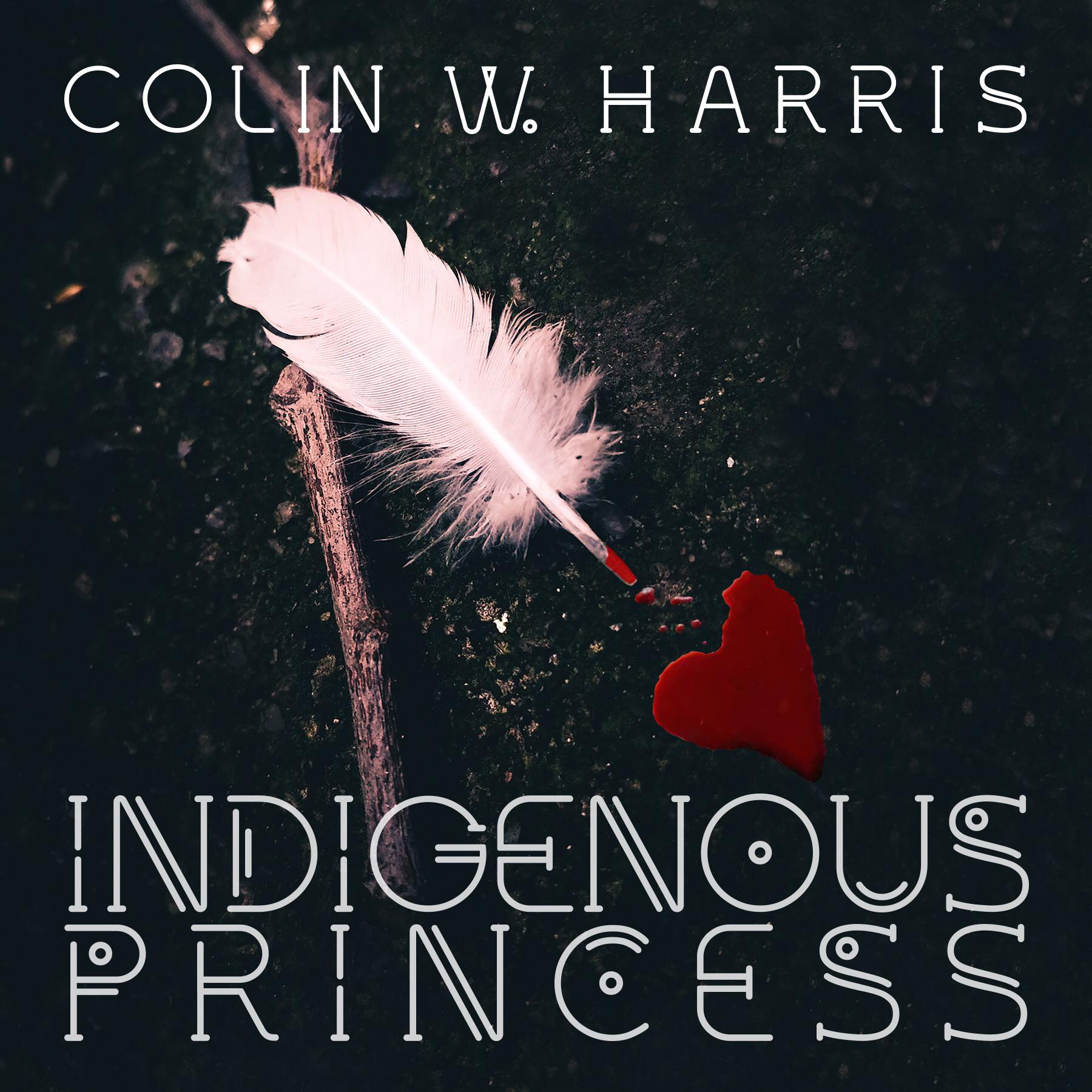 Indigenous Princess Colin W. Harris Graphic Art Sarah Hansen