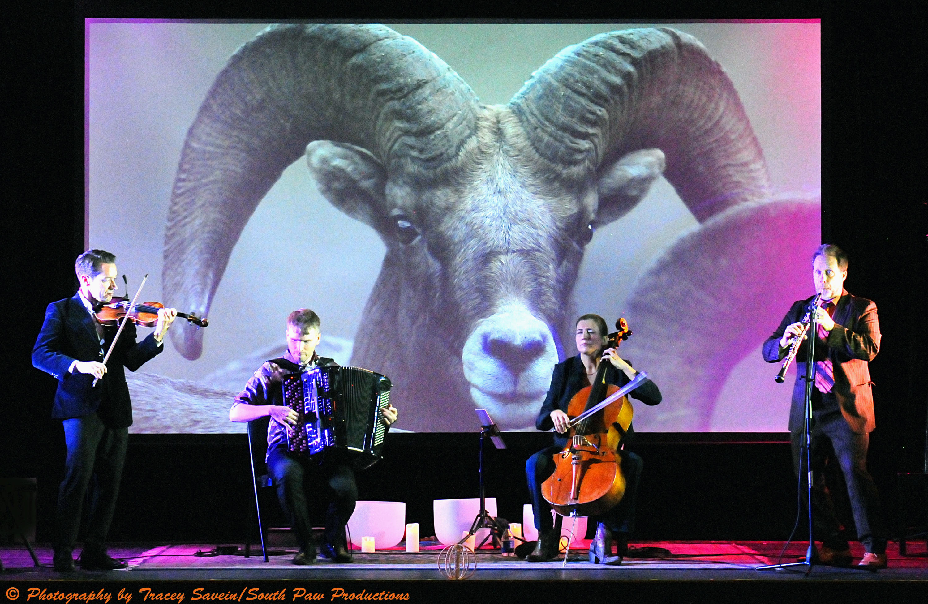 Quattro Gelato - November 7th @ The Redwood Theatre, Toronto