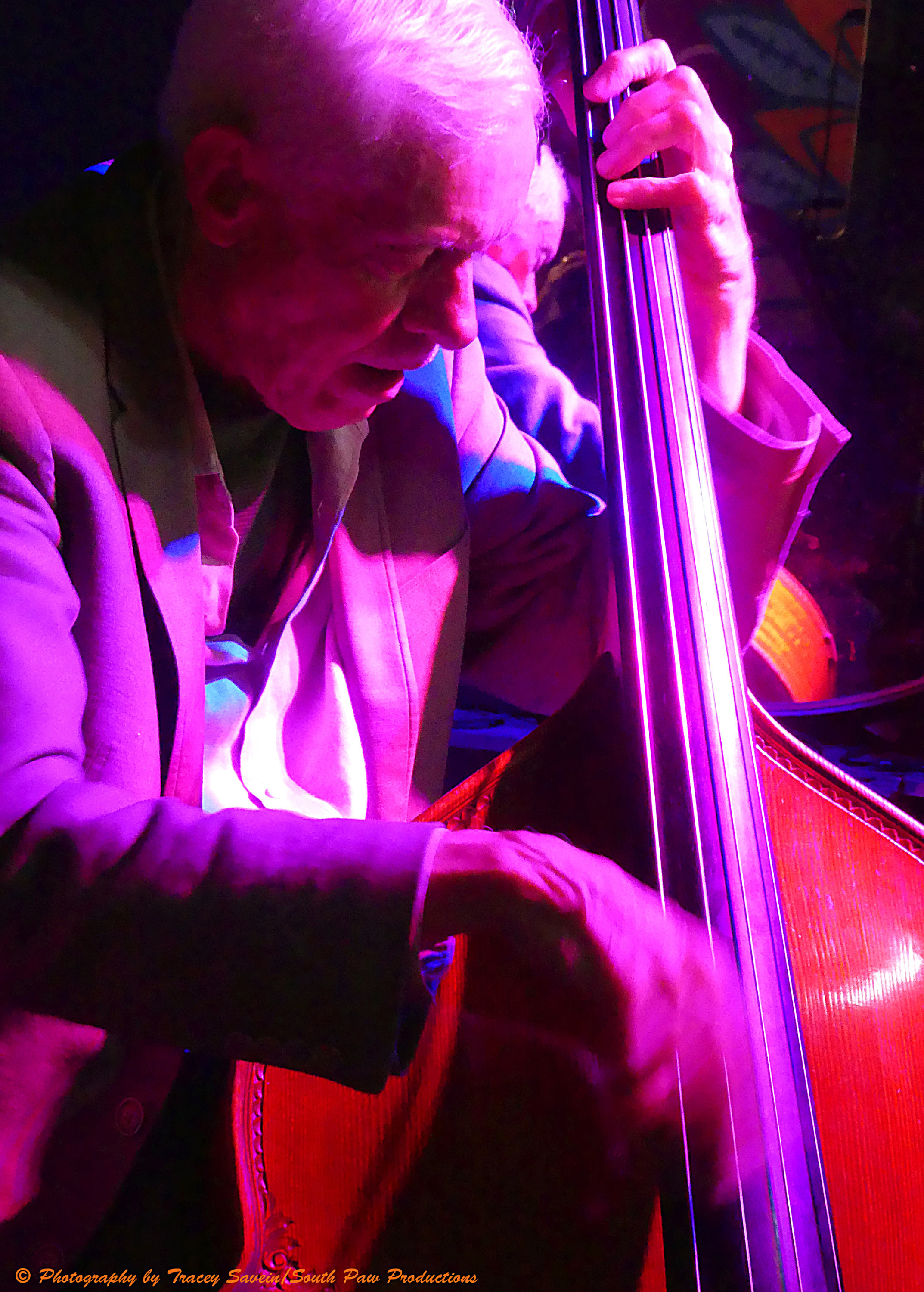 Dave Young - September 21st @ Kensington Jazz Fest, Toronto