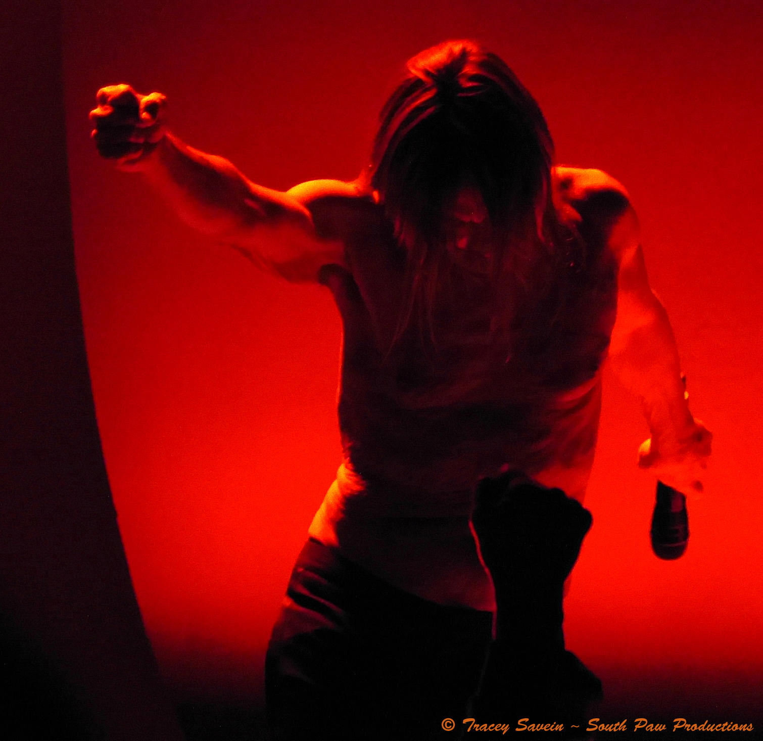 Iggy Pop @ Meridian Hall (former Sony Centre) 2016, Toronto