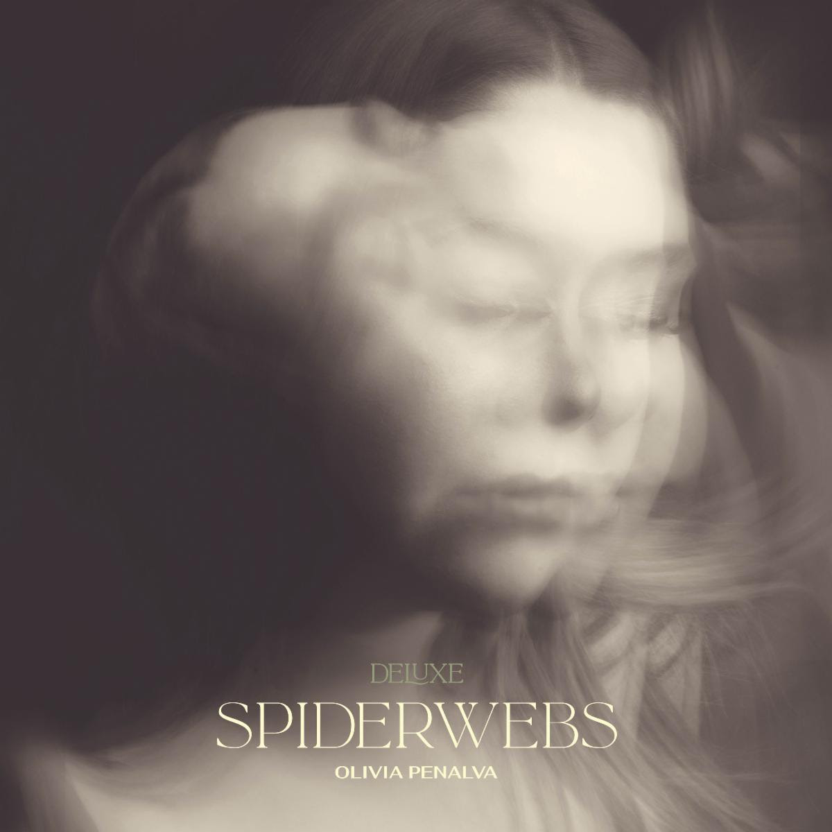 Olivia Penalva Spider Webs