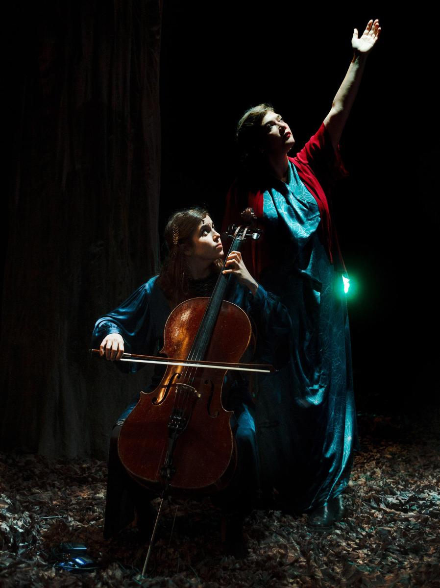 Birds on a Wire Photo Credit Jeremiah