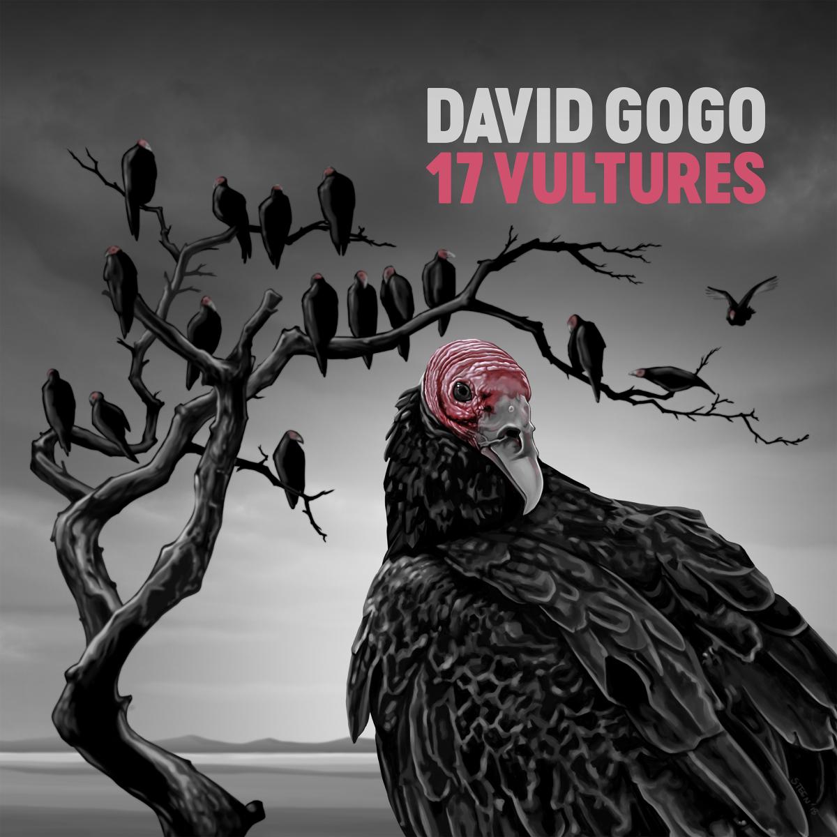 David Gogo 17 Vultures