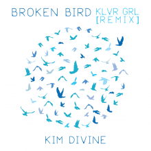 Kim DiVine Broken Bird