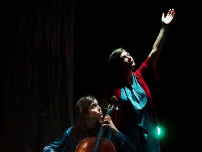 Birds on a Wire Photo Credit Jeremiah